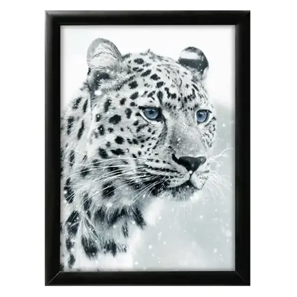 Display snapramme 50x70 cm sort 25 mm plakatramme