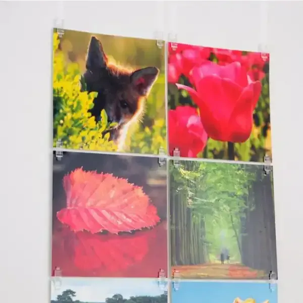 Display Picture Hits klemmer transparente 20 stk + strimler