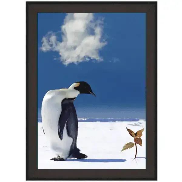 Display snapramme 70x100 cm sort 32 mm gering plakat