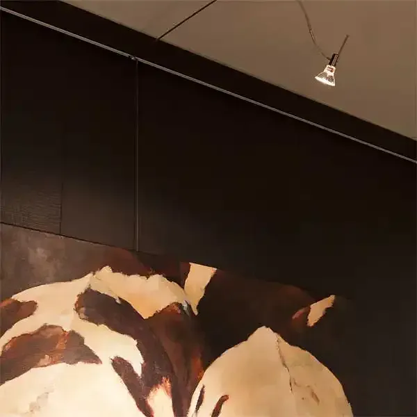Display Cliprail galleriskinne sølv 150 cm 20 kg/m